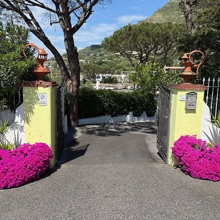 Hotel Park Calitto Forio di Ischia Zewnętrze zdjęcie