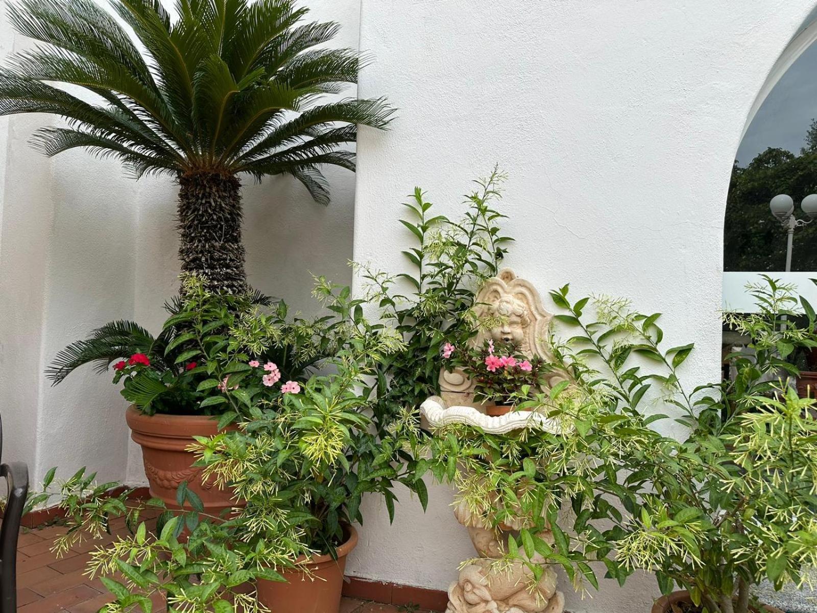 Hotel Park Calitto Forio di Ischia Zewnętrze zdjęcie