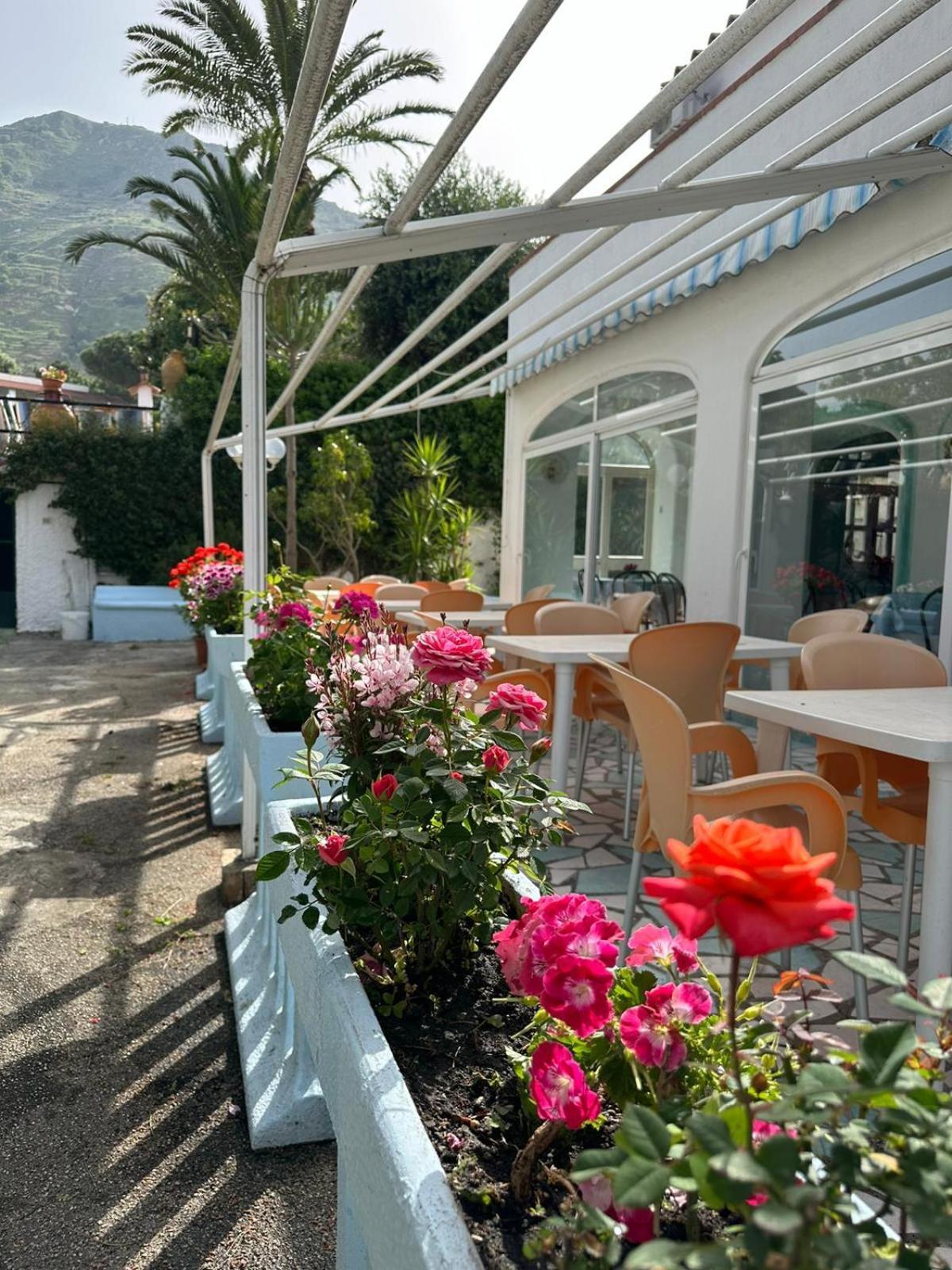 Hotel Park Calitto Forio di Ischia Zewnętrze zdjęcie