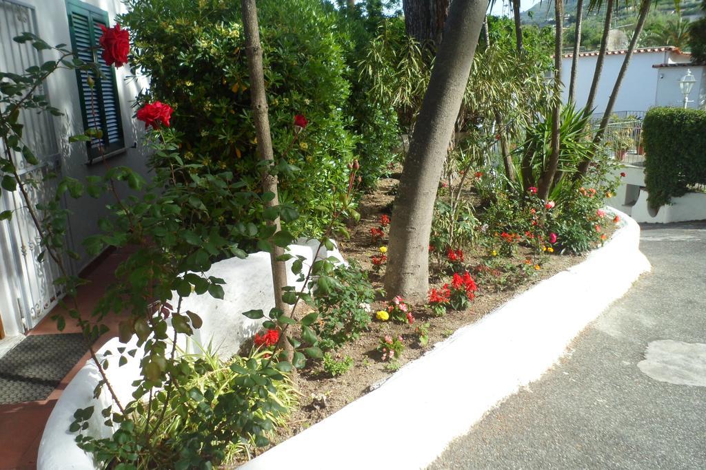 Hotel Park Calitto Forio di Ischia Zewnętrze zdjęcie