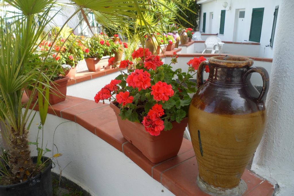 Hotel Park Calitto Forio di Ischia Zewnętrze zdjęcie