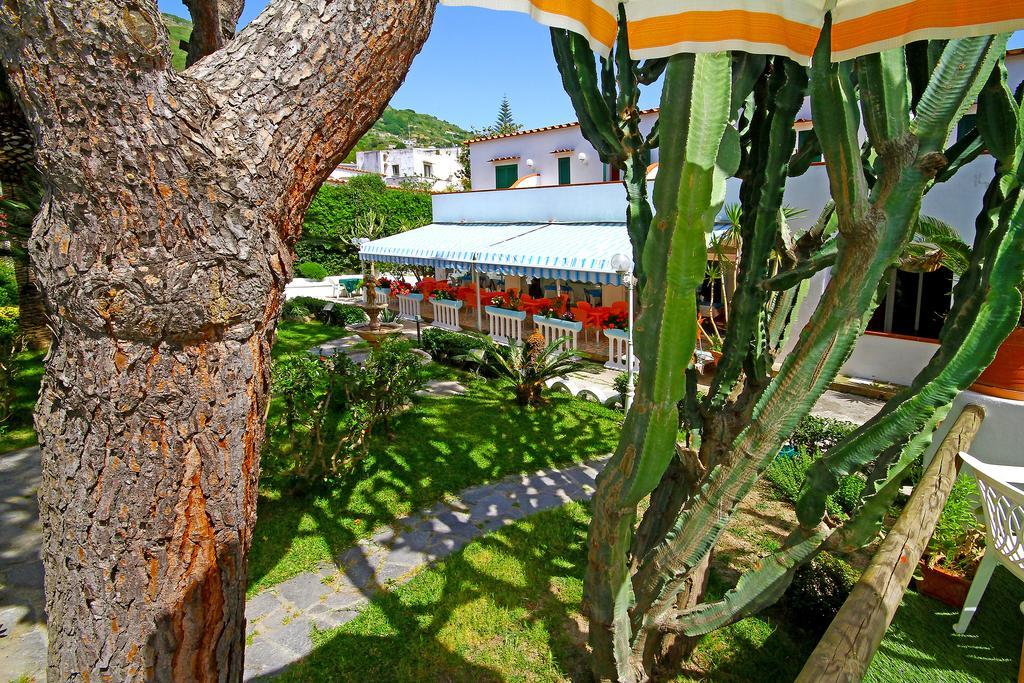 Hotel Park Calitto Forio di Ischia Zewnętrze zdjęcie